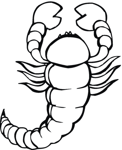 Scorpion 8 Coloring Page